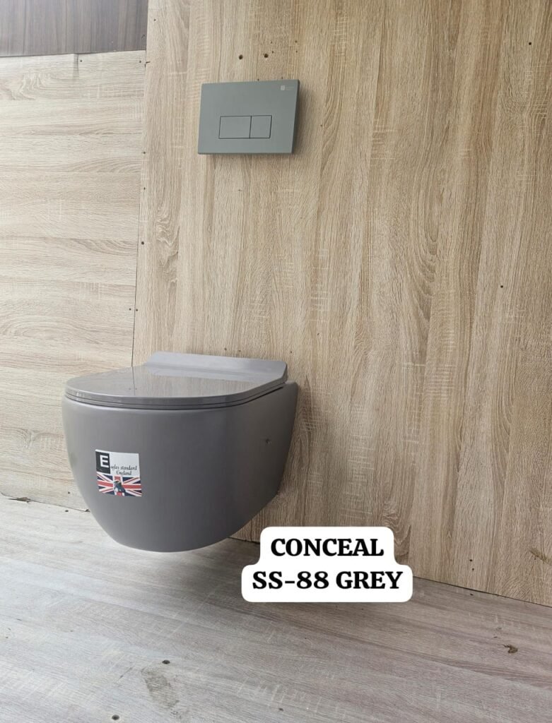 CONCEAL SS 88 GREY - Wall Hung Toilet