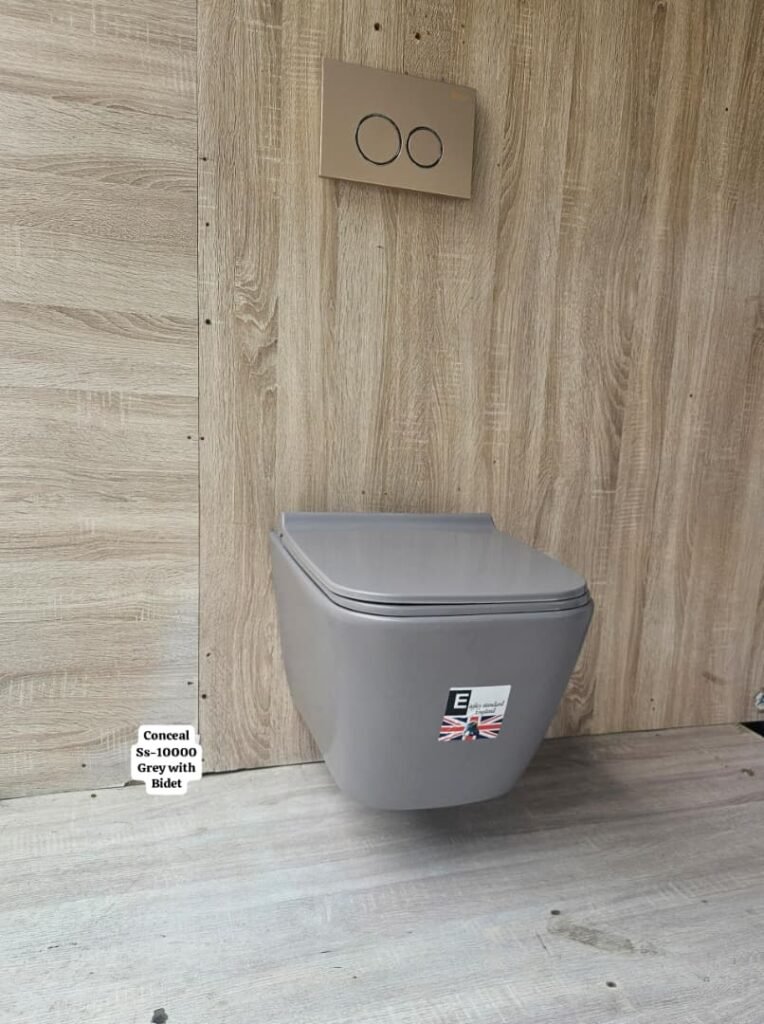 Grey Wall Hung WC / Concealed WC - Square Modern Design